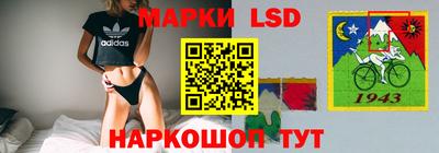 соль ск Будённовск
