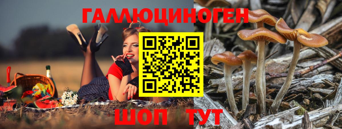 Урай  Псилоцибиновые грибы прущие грибы  Вход с VPN 